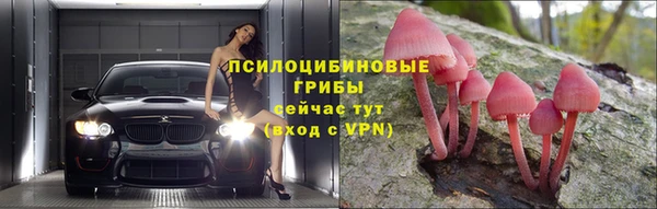 крисы Горнозаводск