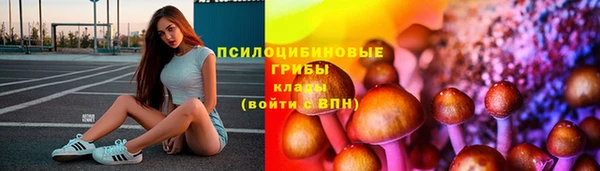хмурый Вяземский