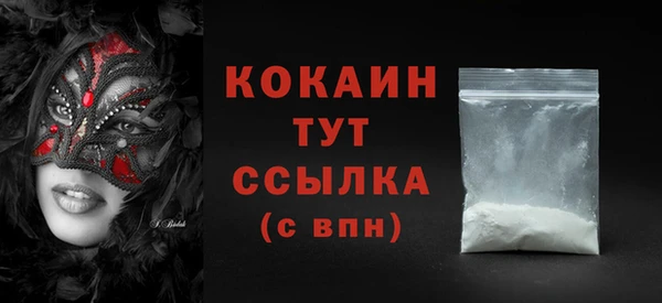 хмурый Вяземский