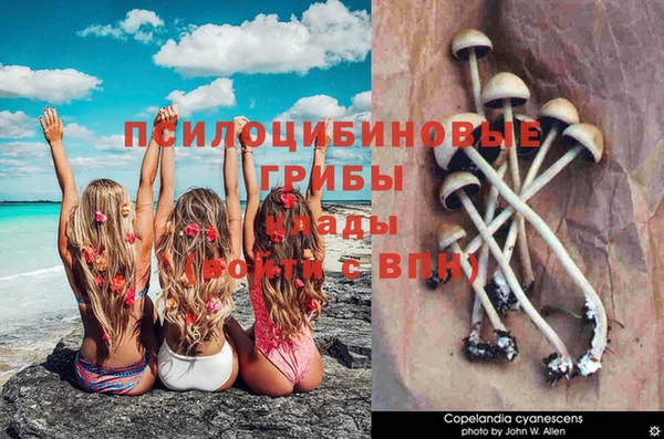 COCAINE Вязьма