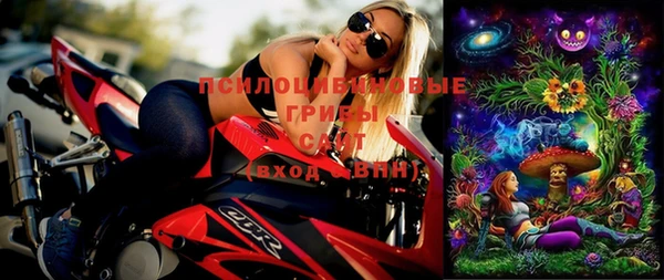 хмурый Вяземский