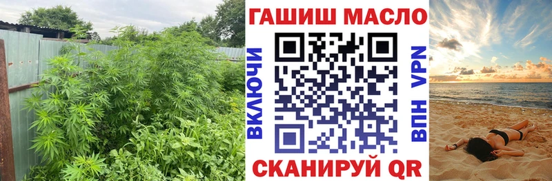 купить наркотик  Давлеканово  Дистиллят ТГК гашишное масло 